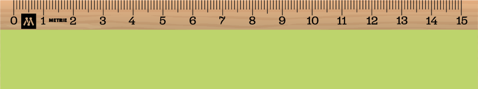 ../../images/print-area/ruler/ruler-1-front-digital.png