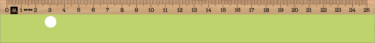 ../../images/print-area/ruler/ruler-10-front-digital.png