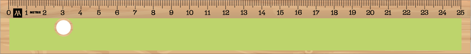 ../../images/print-area/ruler/ruler-10-front-tampon.png