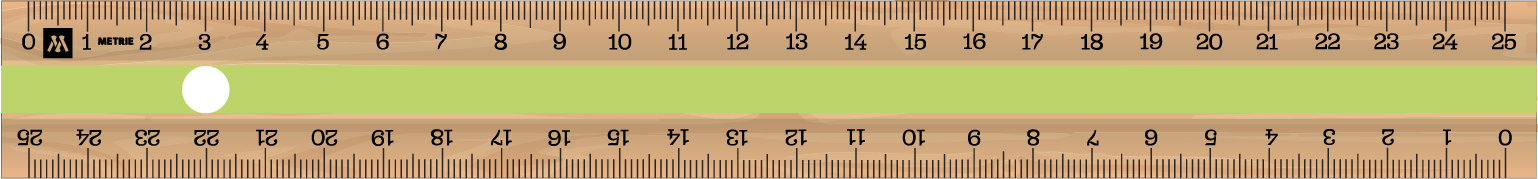 ../../images/print-area/ruler/ruler-12-front-digital.png