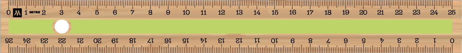 ../../images/print-area/ruler/ruler-12-front-tampon.png