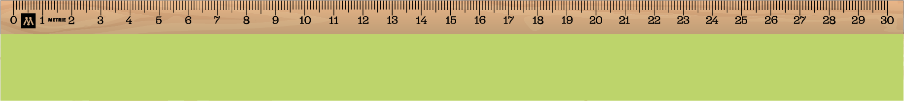 ../../images/print-area/ruler/ruler-13-front-digital.png