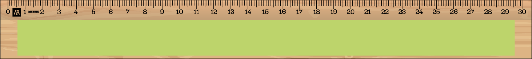 ../../images/print-area/ruler/ruler-13-front-tampon.png