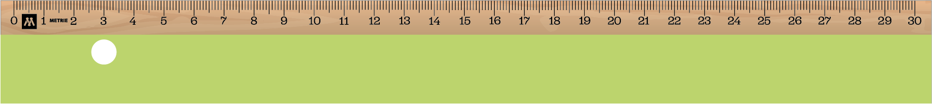 ../../images/print-area/ruler/ruler-14-front-digital.png