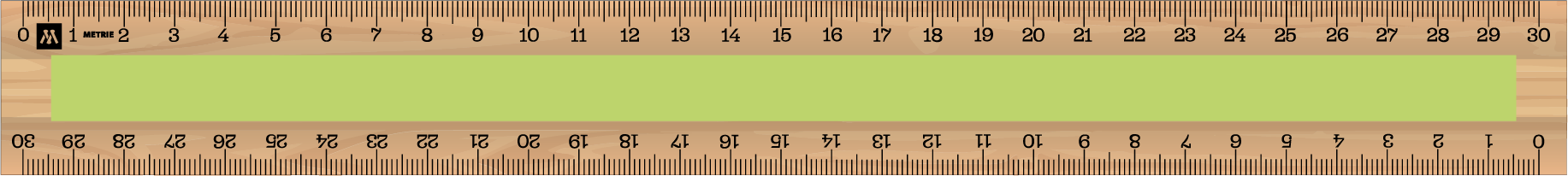 ../../images/print-area/ruler/ruler-15-front-tampon.png