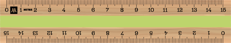 ../../images/print-area/ruler/ruler-3-front-digital.png