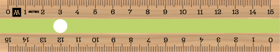 ../../images/print-area/ruler/ruler-4-front-digital.png