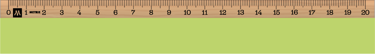 ../../images/print-area/ruler/ruler-5-front-digital.png