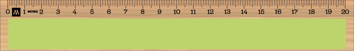 ../../images/print-area/ruler/ruler-5-front-tampon.png