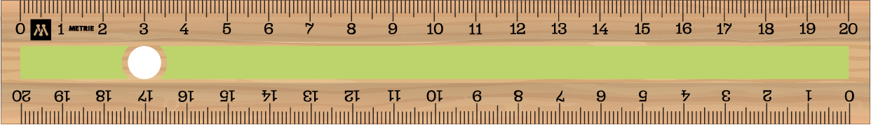 ../../images/print-area/ruler/ruler-8-front-tampon.png