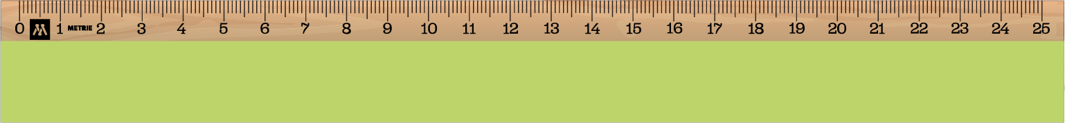 ../../images/print-area/ruler/ruler-9-front-digital.png