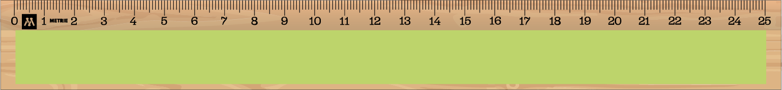 ../../images/print-area/ruler/ruler-9-front-tampon.png